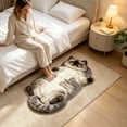 thumbnail image 1 of Adorable Fluffy Feline Floor Mat Plush Sleepy Cat Shaped Rug For Living Room Hallway Doorway Warm Housewarming Present Choice For Cat Moms (60x90cm), 1 of 6