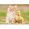 thumbnail image 1 of Adorable Friends 500-Piece Puzzle, 1 of 1