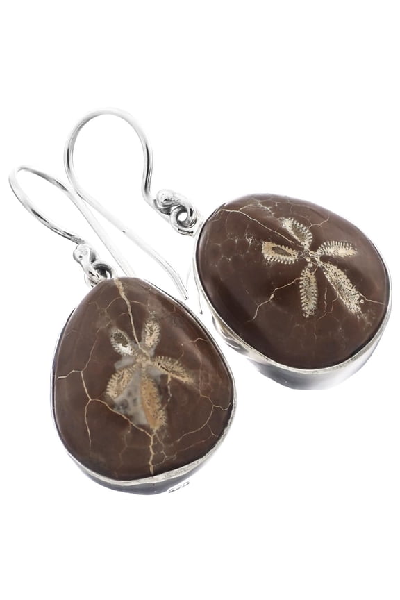 Adorable Genuine Fossil Sand Dollar 925 Sterling Silver Earrings, 11/16"