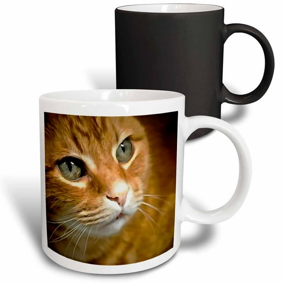 3drose, Adorable Ginger Tabby Cat Posing, 11oz Magic Transforming Mug