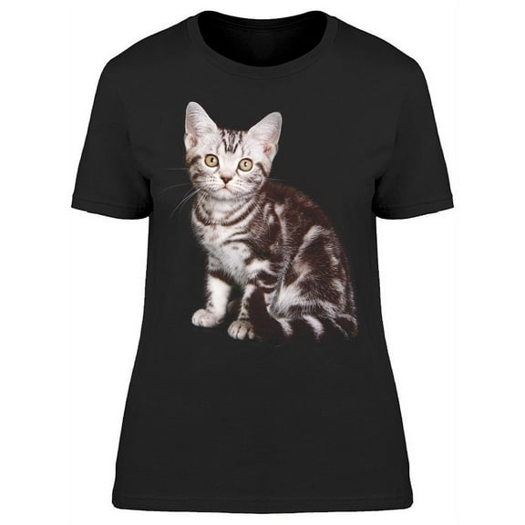 Adorable Grey Cat Sitting T-Shirt Women -Image by Shutterstock, Female Medium