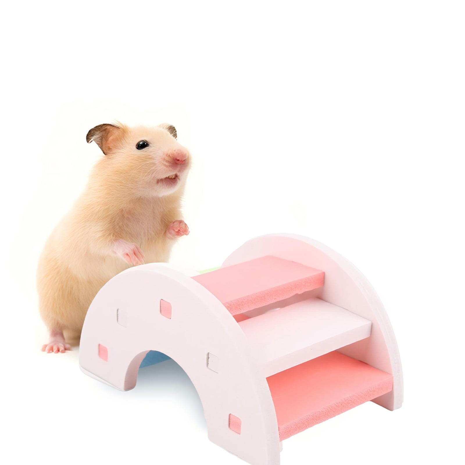 Themed Hamster Cage Accessories photo