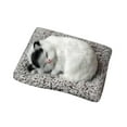 thumbnail image 1 of Adorable Mini Cat Toy with Realistic Meow Sounds for Children and Kids, 1 of 4
