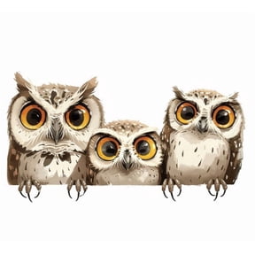 Adorable Owl Car Decal. Durable Vinyl Sticker for Vehicles, Car Windows, Bumpers, Laptops, Helmets, Notebooks, Tablets, Suitcases, and Personal Accessories. Great Gift for Animal and Nature Lovers