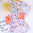 thumbnail image 1 of Adorable Pet Clothes for Cats & Small Dogs - Charming Spring & Autumn Wear Floral Dress, 1 of 3