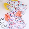 thumbnail image 1 of Adorable Pet Clothes for Cats & Small Dogs - Charming Spring & Autumn Wear Floral Dress, 1 of 3