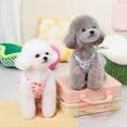 thumbnail image 1 of Adorable Pet Clothes for Cats & Small Dogs - Charming Spring & Autumn Wear Pet Dress, 1 of 7