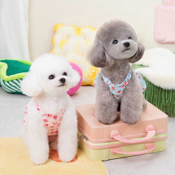 Adorable Pet Clothes for Cats & Small Dogs - Charming Spring & Autumn Wear Pet Dress