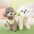 thumbnail image 1 of Adorable Pet Clothes for Cats & Small Dogs - Charming Spring & Autumn Wear Pet Dress, 1 of 5