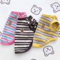 thumbnail image 1 of Adorable Pet Clothes for Cats & Small Dogs - Charming Spring & Autumn Wear, 1 of 2