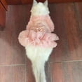 thumbnail image 1 of Adorable Pet Clothes for Cats & Small Dogs - Charming Spring & Autumn Wear, 1 of 3