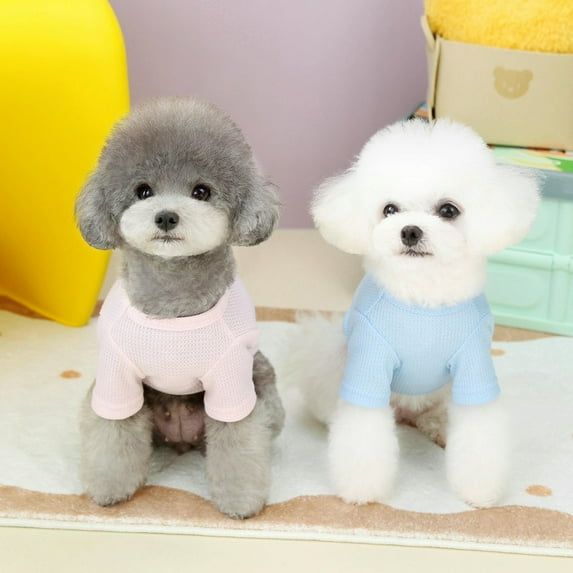 Adorable Pet Clothes for Cats & Small Dogs - Charming Spring & Autumn Wear.