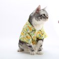 thumbnail image 1 of Adorable Pet Clothes for Cats & Small Dogs - Charming Spring & Autumn Wear., 1 of 3
