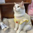 thumbnail image 1 of Adorable Pet Clothes for Cats & Small Dogs - Charming Spring & Autumn Wear, 1 of 2