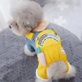 thumbnail image 1 of Adorable Pet Clothes for Cats & Small Dogs - Charming Spring & Autumn Wear, 1 of 2