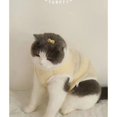 thumbnail image 1 of Adorable Pet Clothes for Cats & Small Dogs - Charming Spring & Autumn Wear, 1 of 1