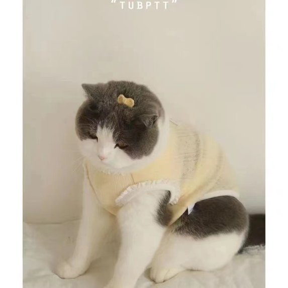 Adorable Pet Clothes for Cats & Small Dogs - Charming Spring & Autumn Wear