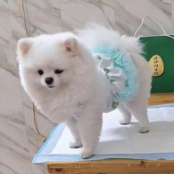 Adorable Pet Clothes for Cats & Small Dogs - Charming Spring & Autumn Wear