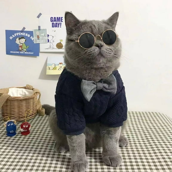 Adorable Pet Clothes for Cats & Small Dogs - Charming Spring & Autumn Wear