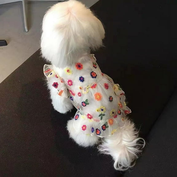 Adorable Pet Clothes for Cats & Small Dogs - Charming Spring & Autumn Wear