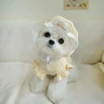 thumbnail image 1 of Adorable Pet Clothes for Cats & Small Dogs - Charming Spring & Autumn Wear, 1 of 2