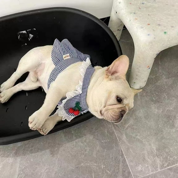 Adorable Pet Clothes for Cats & Small Dogs - Charming Spring & Autumn Wear