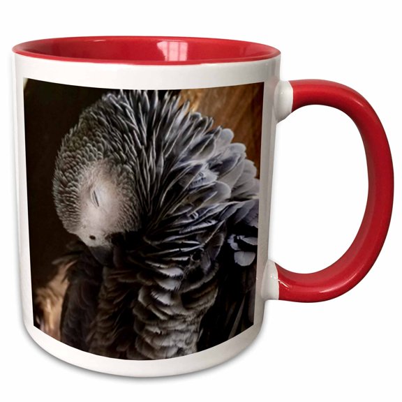 3drose, Adorable Portrait of a Parrot Animal Photography, 11oz Two-tone Red Mug