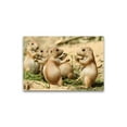 thumbnail image 1 of Adorable Prairie Dogs Eating Poster -Image by Shutterstock, 1 of 2