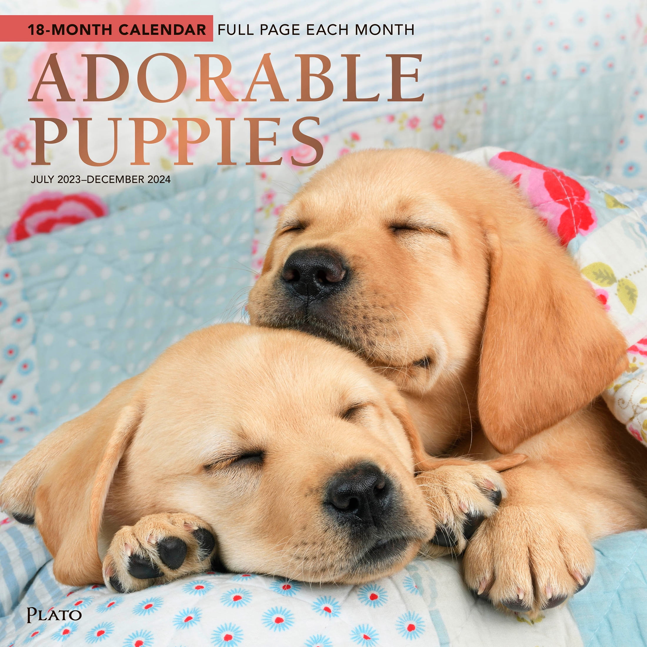 Adorable Puppies | 2024 12x24