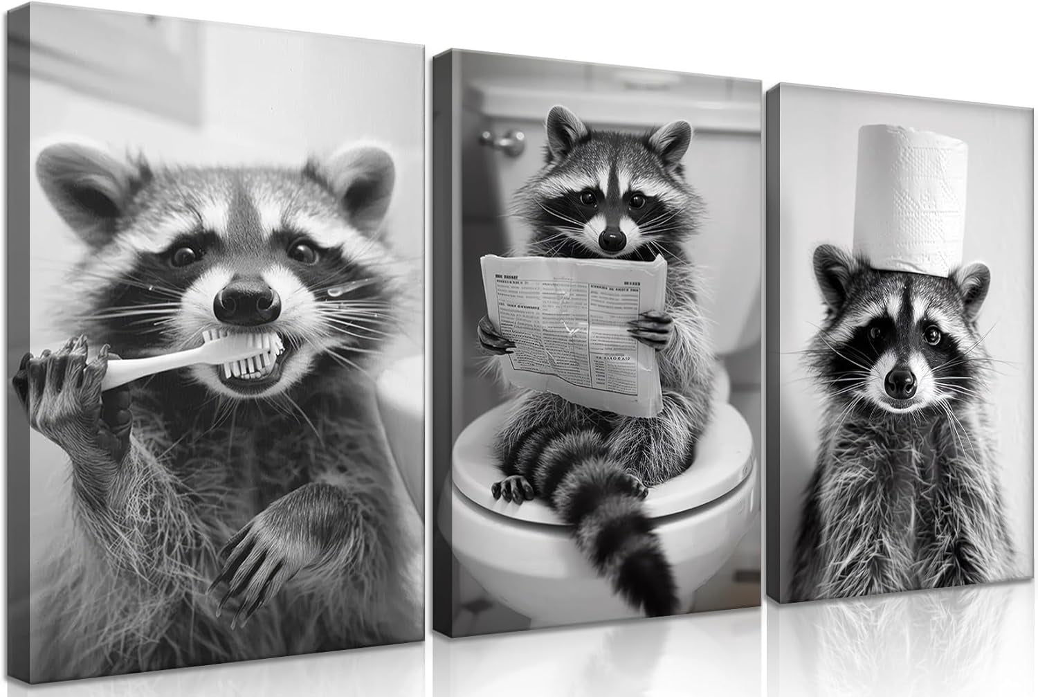 Adorable Raccoon Bathroom Wall Hieng Black and White Animal Posters ...