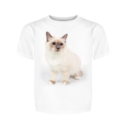 Adorable Sacred Birman Cat Tee Boy's -Image by Shutterstock