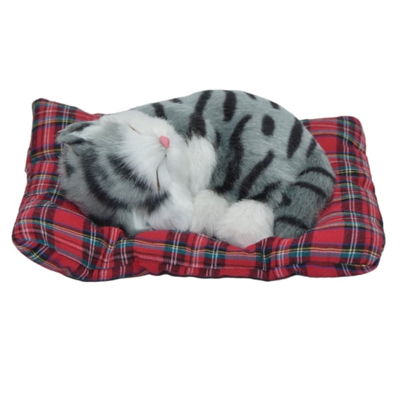 Adorable Sleeping Grey Kitty Cat on a Plaid Pillow