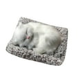 thumbnail image 1 of Adorable Toy Mini Cat in Mattress with Meow Sounds Sleeping Kitty Stuffed Animal for Kids Boys Girls, 1 of 4