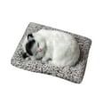 thumbnail image 1 of Adorable Toy Mini Cat in Mattress with Meow Sounds Sleeping Kitty Toy for Kids Boys Girls Cute Interactive Pet, 1 of 4