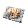 thumbnail image 1 of Adorable Toy Mini Cat in Mattress with Meow Sounds Sleeping Kitty Toy for Kids Boys Girls Cute Interactive Pet, 1 of 4