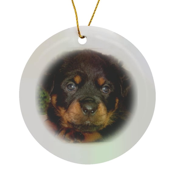 3drose, Adorable Young Rottweiler Puppy with Head Resting on Left Front Paw, Circle Porcelain Ornament