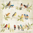 thumbnail image 1 of Adoration of the Magpie Music Poster Print by Avery Tillmon, 1 of 1