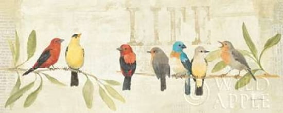 Adoration of the Magpie Panel II Canvas Art - Avery Tillmon (24 x 48)