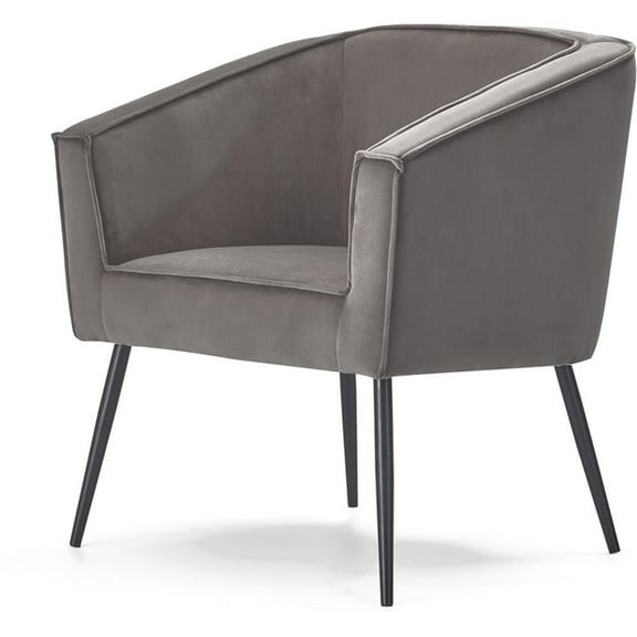 Adore Decor Rani Modern Velvet Accent Chair in Gray