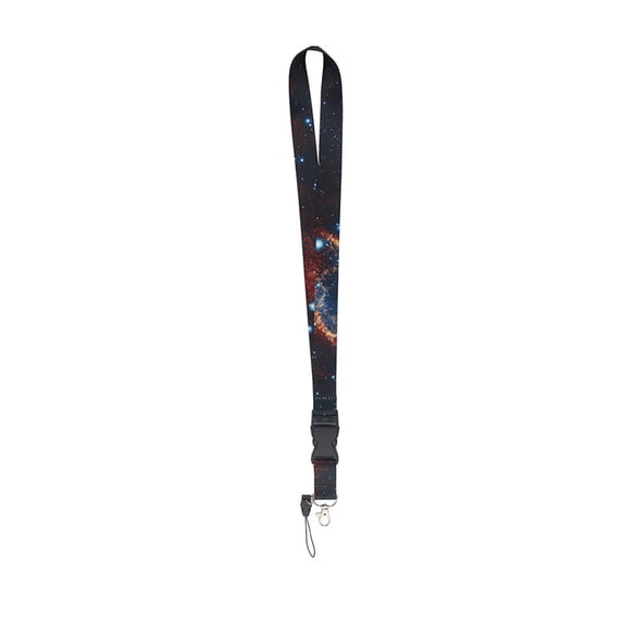 Adpan Cruise Lanyards for Ship Cards Colored Cruise Lanyards Waterproof Lanyards Detachable Buckle for Ship Key Cards, Cruise Ship Accessories, E