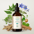 thumbnail image 1 of Adrenix Alcohol Extract Tincture. Endocrine System Support 4 oz, 1 of 8