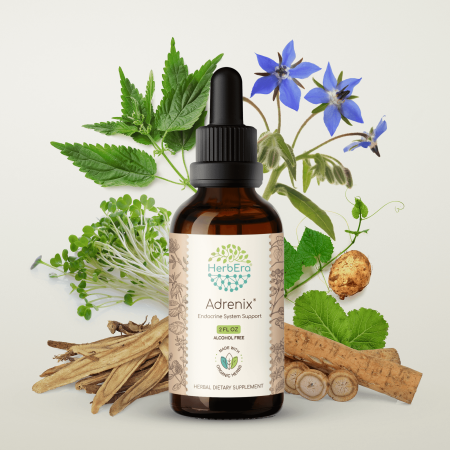 HerbEra Adrenix Extract, Dietary Supplement Herbal Formula, Made from Borage Flower and Herb,Burdock Root,Licorice Root,Stinging Nettle Root,Alfalfa Leaf and Seed, Wild Yam Root 2 oz