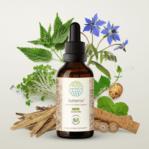 HerbEra Adrenix Extract, Dietary Supplement Herbal Formula, Made from Borage Flower and Herb,Burdock Root,Licorice Root,Stinging Nettle Root,Alfalfa Leaf and Seed, Wild Yam Root 2 oz