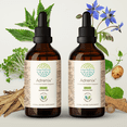 thumbnail image 1 of Adrenix Alcohol-FREE Extract Tincture. Endocrine System Support 2x4 oz, 1 of 6