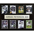 thumbnail image 1 of Adrian Peterson Minnesota Vikings 12'' x 15'' Plaque, 1 of 1