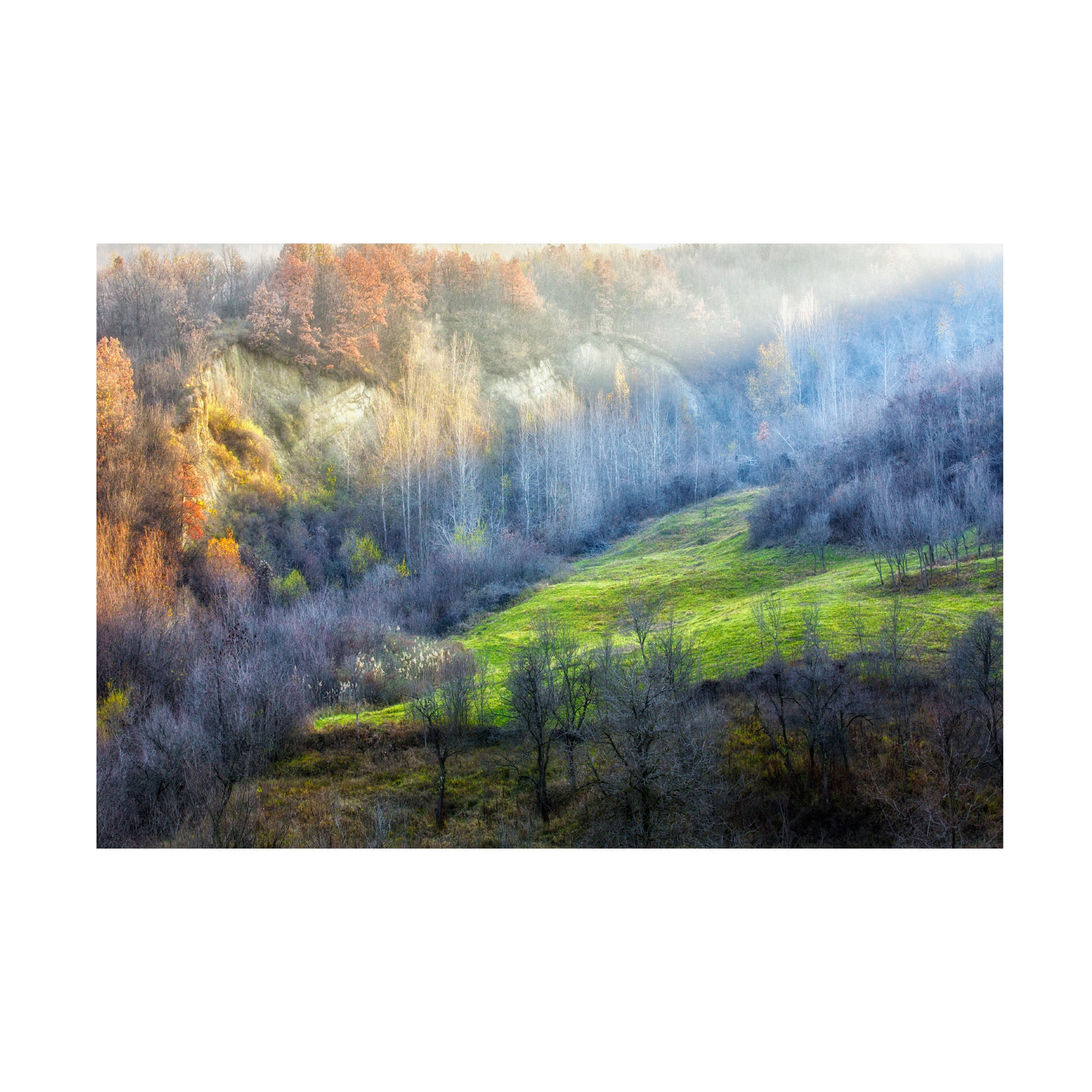 Adrian Popan 'November Colors' Canvas Art
