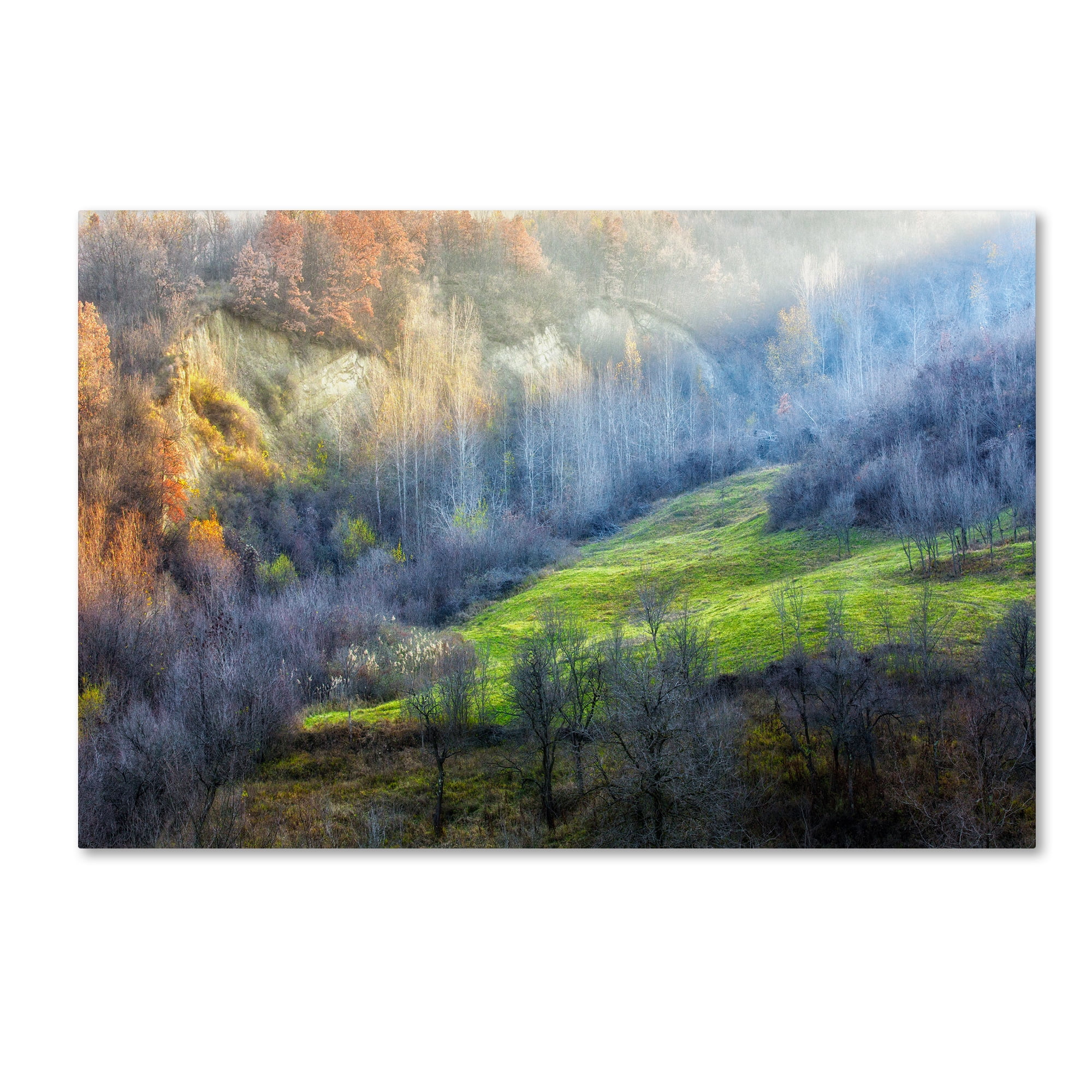 Adrian Popan 'November Colors' Canvas Art