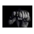 thumbnail image 1 of Adrian Vrican 'Left Wing' Canvas Art, 1 of 3