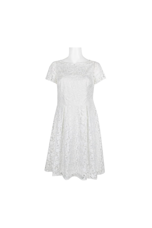 Boat Neck Short Sleeve A-Line Box Pleat Zipper Back Embroidered Dress-IVORY / 2