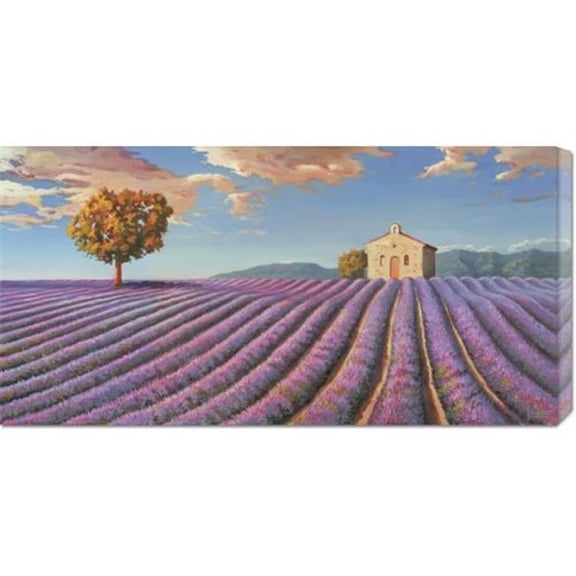 Adriano Galasso 'Campi di lavanda' Stretched Canvas